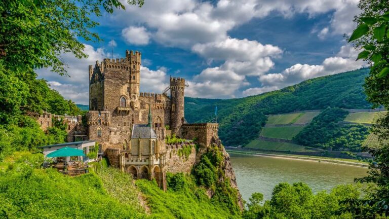Rhine River Cruises