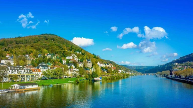 Rhine River Cruises