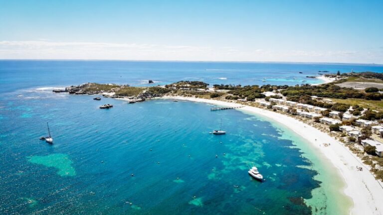 Rottnest Island Quokkas