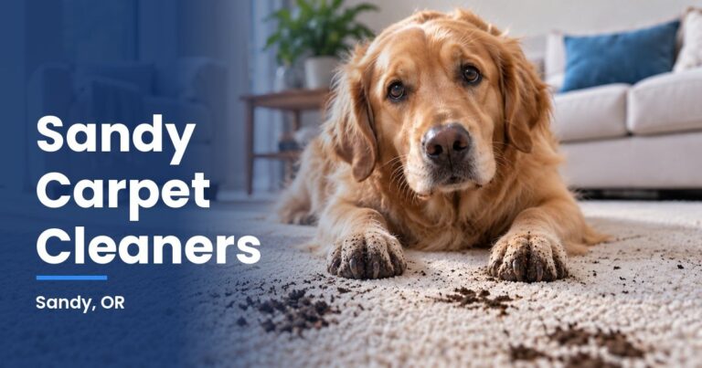 Sandy Carpet Cleaners