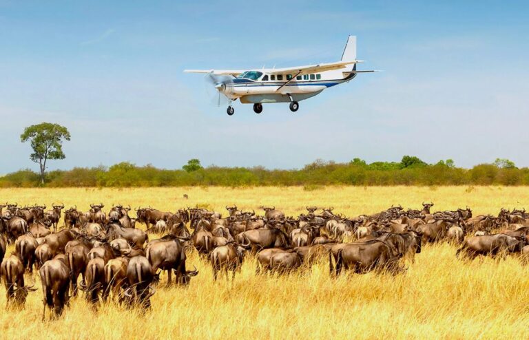 Serengeti Lusa Safaris