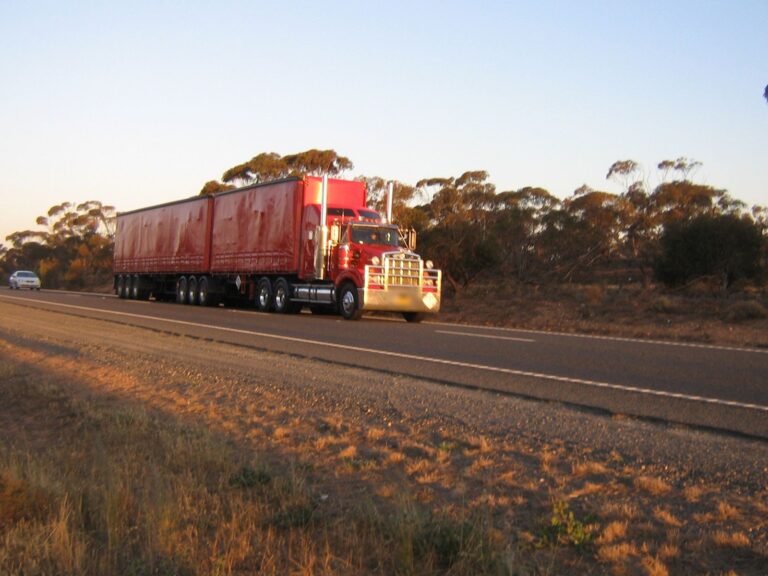 Shy Transport