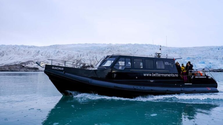 Skjervoy Whale Tours