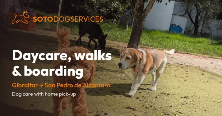 Soto Dog Services