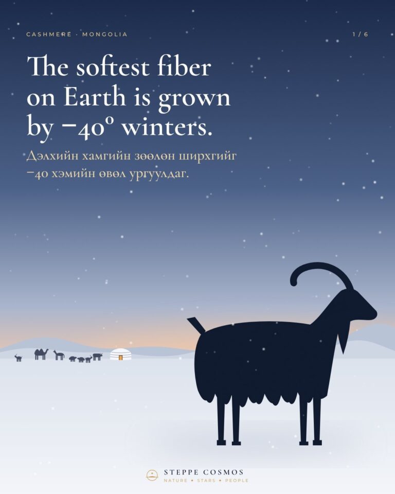 Steppe Cosmos