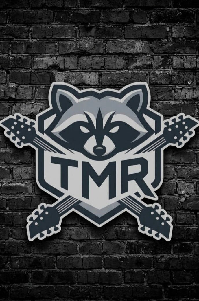 The Metal Raccoon