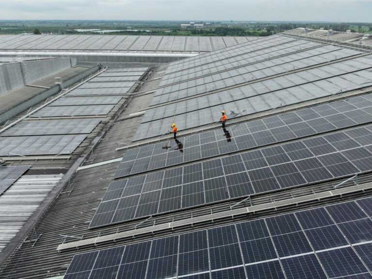 TRINIX GREEN ENERGY LLP