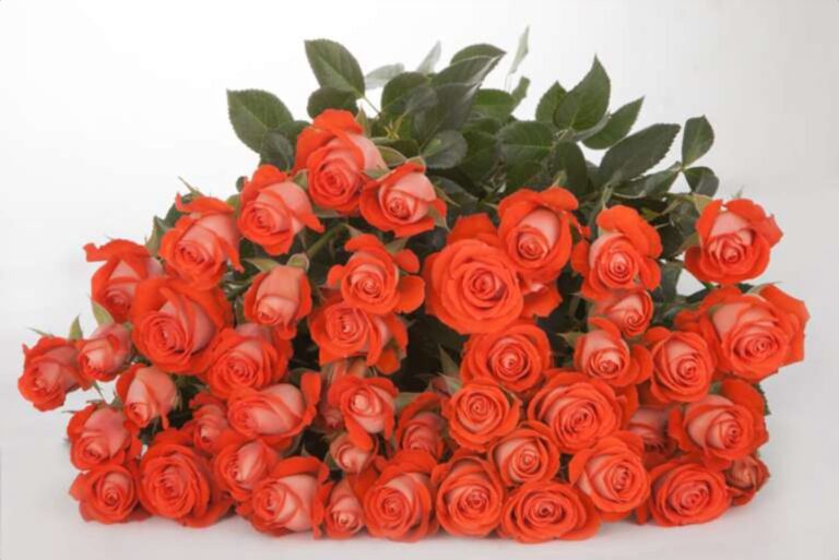 TrueScent Flowers