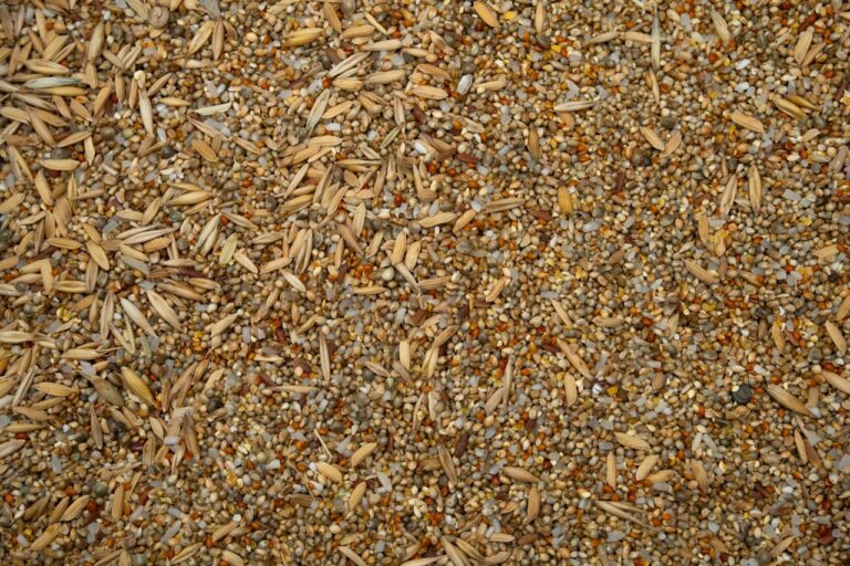 Wasi Poultry Feeds