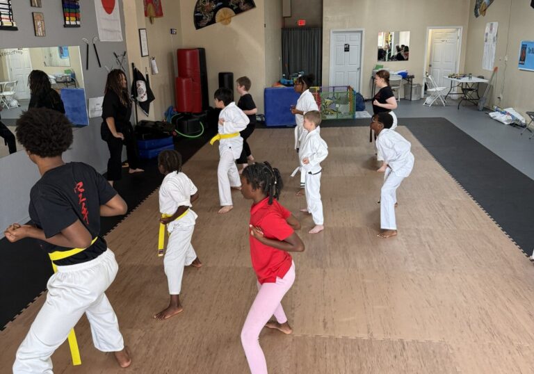 The Blazing Dragon Karate Dojo