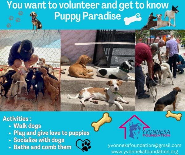 Yvonneka Foundation